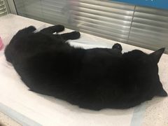 -美迦爱-牙专科·兔科·骨科诊疗中心(北苑店)