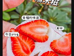 -澳门长洲糯米糍(柯打苏沙街店)