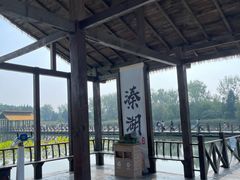 -溱湖国家湿地公园