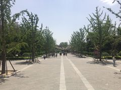 -迎泽公园