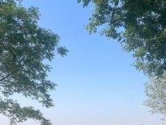 -汉长安城未央宫国家考古遗址公园