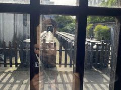 -镇江中国醋文化博物馆