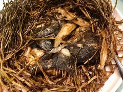 葱烤鸦片鱼头-新吉士·上海菜(浦东LCM置汇旭辉店)