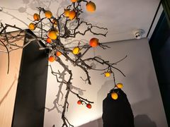-杏花堂晋商私房菜(华熙五棵松店)