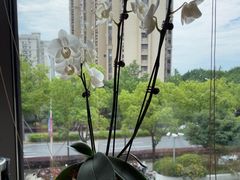 -一石三鸟烧鸟居酒屋(南桥美谷店)