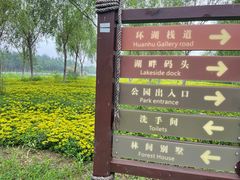 -西青郊野公园