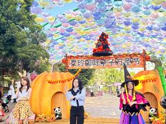 -灵玲国际马戏城