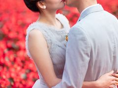 -百万葵园