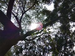 -日月潭