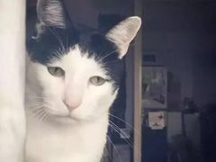 -海拉尔碳烤羊腿烤鸽子(吕营店)