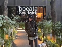 -三里屯东五街银杏大道