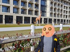 -南京汤山紫清湖生态旅游温泉度假区