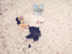 -艾米茉亲子餐厅(万象城店)