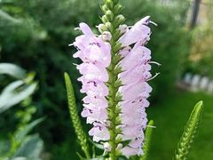 -长春公园(普阳街道)