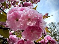 -苏州河梦清园环保主题公园