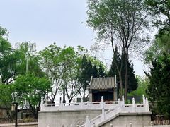 -皇家御河游(紫御湾码头)