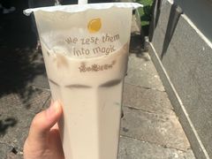 -猫的魔法密林(衣裳街店)