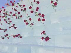 -卧龙湖