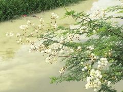 picture-中旅阿那亚九龙湖·公主酒店