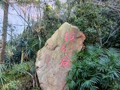 -广州市白云山风景名胜区