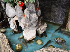 -东巴谷野生菌火锅餐厅