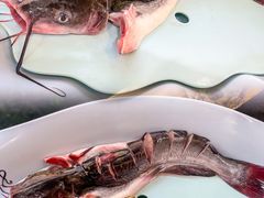 -老刘生态大鱼坊铁锅炖鱼(赛马场店)