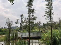 -THE PLAN_T COFFEE ROASTER(定岗湖公园店)