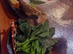 菠菜-湊湊火锅·茶憩(天环广场店)
