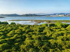 -盐洲岛