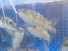 -老班长大酒店(海关大楼店)