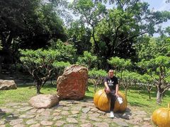 -广州市白云山风景名胜区