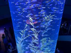 -广州海洋馆