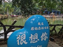 -西双版纳原始森林公园