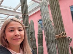 -正佳雨林生态植物园
