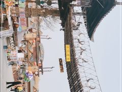 -呀路古热带植物园