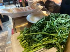 -红鼎坊·老成都火锅(新南门店)