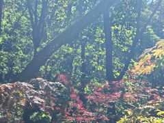 -五女山景区