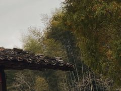 -林坑古村落