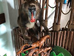 -大连森林动物园