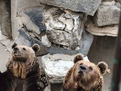 -保定市动物园
