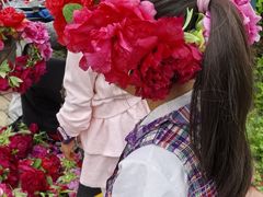 -曹州牡丹园