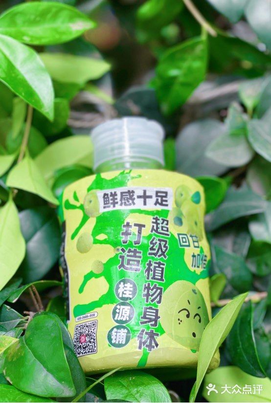 桂源铺出新品啦~油柑羽衣甘蓝刮油水，简直就是人间解油神器