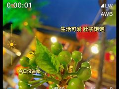 -尽善百年古院餐厅(王家老宅店)