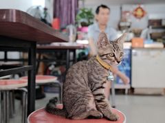 -阿一猪红汤(总店)