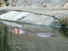 -南昌动物园