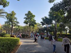 -宝安西湾红树林湿地公园