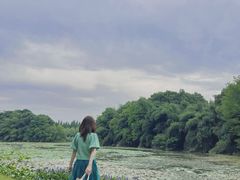 -艾溪湖湿地公园