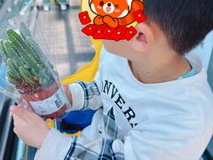 -宜家家居(四元桥商场店)