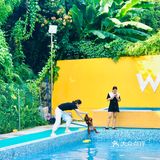 萌宠 | 妞妞和小伙伴们爱去的宠物乐园