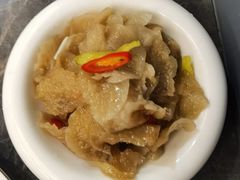 -新名仕新白玉兰餐厅